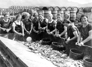Study Scottish fisher lassies from Fraserburgh and Lossiemouth