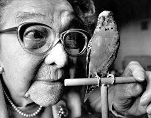 Budgie Prints: Stuffed budgie Sparkie Williams with his former owner Mrs Mattie Williams