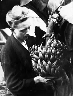 Banana Prints: A successful bunch of bananas have been grown at Sefton Park glass house, Liverpool