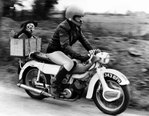 Sue Maddock 21 and her dog Moth who she transports around in the pillion box on her