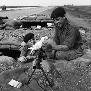 Suez Crisis 1956 British soldiers Peter Hawley (left) and Harry Perkins