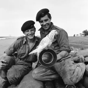 Suez Crisis 1956 British soldiers Peter Hawley (left) and Harry Perkins