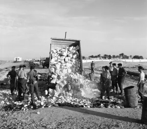 Suez Crisis 1956 Pioneer Corps filling a gap in the coast road near Gamil