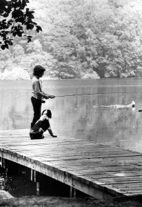 Summer Weather Scenes - Sunbathing A young boy and his dog enjoys a day out