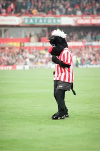 Sunderland 3-0 Everton, Premier league match at Roker Park
