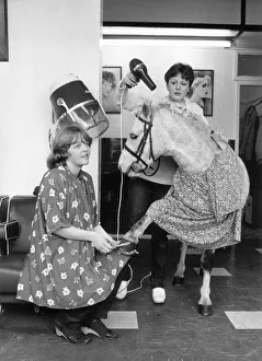 Hairdressers Prints: Susan Craven wanter her pony Christopher Robi to be the top attraction at a horse show