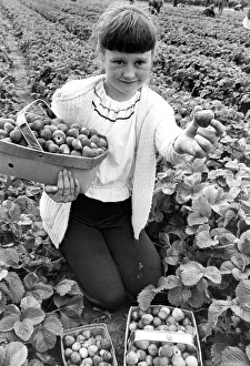 Fruit Prints: Susan Harper, aged nine, from Durham proudly displays the fruits of her labours