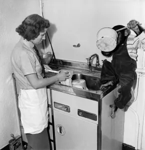 Monkeys Prints: Susan'pet. chimp of Miss Molly Badham seen here helping with the housework