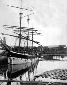 00096 Prints: The Swedish Barque sailing ship Rolf at Sunderland unloading timber