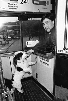 00171 Prints: Sweep the dog getting his Rover ticket from driver Ian Prosser. 17th March1987