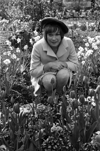 01028 Prints: Sweet Charity star Shirley MacLaine is in London for a short stay