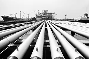 Fuel Prints: In a symbollic gesture, Energy Minister Anthony Wedgwood-Benn