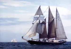 00171 Prints: Tall Ships Race July 1993. Tall ship sailing in open water