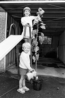 Images Dated 17th July 1987: A tall story, Green-fingered Beaumont Park youngsters Paul