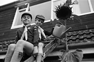 Images Dated 6th October 1988: Tall story... green fingered cubs David Ryan (right) and Darren Neary have to climb a