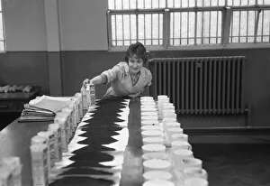 The tea taster at work. A sip, a quick taste and Mr Edward Pedvin, of Hollywood