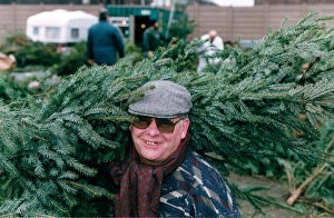 00521 Collection: Terry Bennett chairman of the Liverpools Christmas Tree Association, has 50
