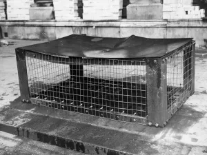 Shelter Prints: Tests carried out by the Research and Experimental department on a Flat-topped shelter