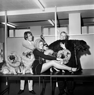 Thames Television are auditioning for a girl and a dog to star in the play