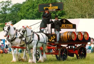 00081 Prints: The Theadston Brewery wagon pulled by two Shirehorses at a local show in 1994