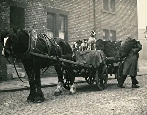 Thomas Newton gets his dogs to guard his precious cargo of coal after the shortages