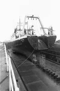 01026 Prints: The Thor Trawl factory trawler seen here in a Hull dry dock undergoing repairs