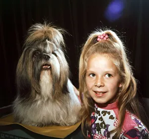 A Tibetan Lion Dog called Daphne with a young girl October 1972 animals with