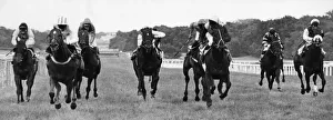 A tight finish as Ferriby Hall (second left) wins the Gosforth Park Cup from Sanu
