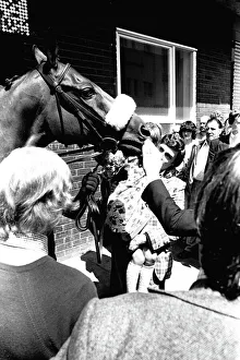 Horses Prints: Three times Grand National winner Red Rum arrives for opening the Rum Runner nightclub in