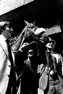 Three times Grand National winner Red Rum arrives for opening the Rum Runner nightclub in