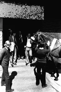 Three times Grand National winner Red Rum arrives for opening the Rum Runner nightclub in