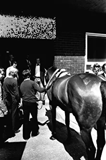 Three times Grand National winner Red Rum arrives for opening the Rum Runner nightclub in