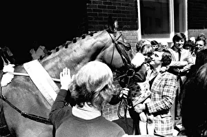 Three times Grand National winner Red Rum arrives for opening the Rum Runner nightclub in