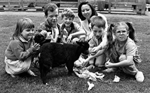Tiny'the pygmy goat was an instant success when 800 children paid a visit to