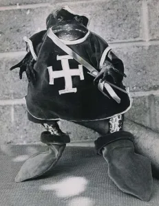 Amphibian Prints: A toad dressed up in knights clothing - a true Prince Charming