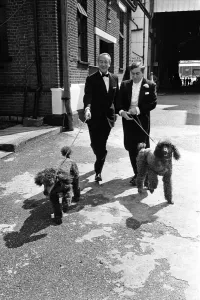 Tony Hancock with George Sanders and dogs. 12th August 1960