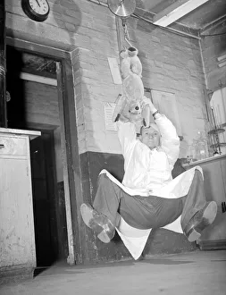 Teddy Bear Prints: Toys for christmas like this teddy bear take a jolly good hiding whilst they are tested