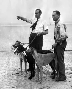 Trainer Leslie Reynolds (pointing) with his head kennelman Jinks Jones