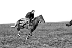 Trainer Peter Walwyn with his horse Grundy pictured at his Lambourne (Berks) stables
