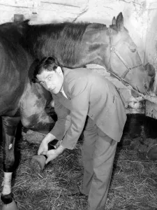 00192 Prints: Trainer slips on the boots'that stop a valuable horse from kicking its own
