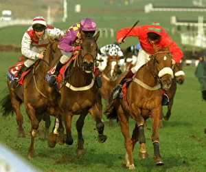 Cheltenham Prints: Trainglot right wins from Treasure Again mauve and yellow check colours in the Coral Cup