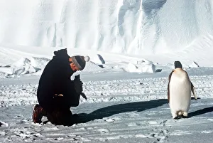 Adventure Prints: Trans-Antarctic expedtion member taking a photograph of a Penguin Explorers meet