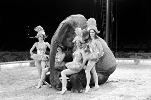 Travel by Jumbo'is the motto of the four Smart Sisters who are busy training