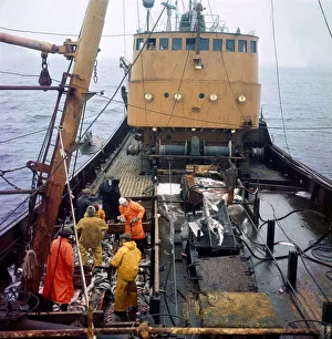 Fisherman Prints: The Trawler Rose Orion returns to Hull with its catch after a trip to Greenland