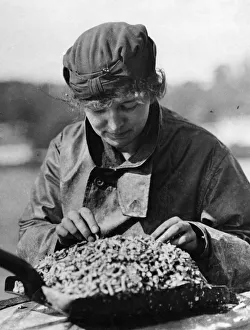 Treasure ship, Miss Nailor, Colonel Foss assistant carefully going through shells