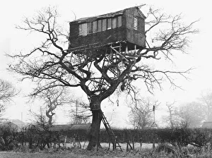 Weird Prints: The tree home held in the branches. Trapeze on right is used to cut down ladder