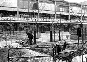 Trees being planted in the Lower Precinct, Coventry city centre. 7th February 1970