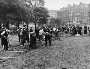 01249 Prints: Trench digging in the London parks. A. P.s the busy scene in Kingston gardens today