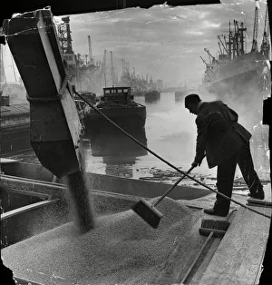 Barge Prints: Trimming the cargo as grain roars down a chute from silo to barge in King George Dock