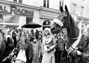 Images Dated 3rd July 2012: Triple Grand National winner Red Rum is still a National favourite
